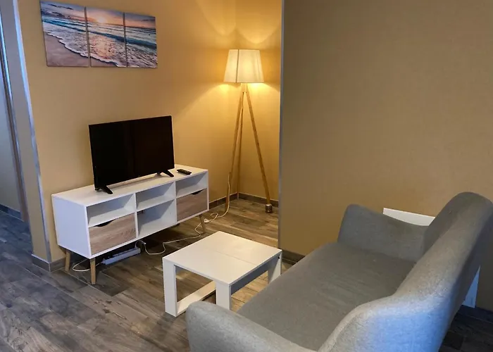 Le Petit Fabre Appartement La Roche-sur-Yon